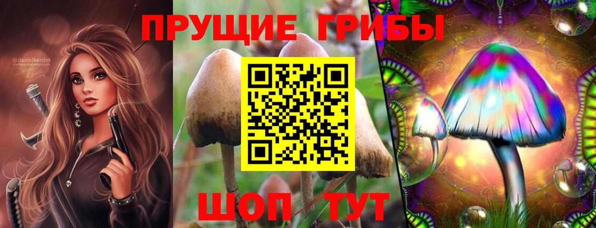 Энгельс  Галлюциногенные грибы Psilocybe  Вход с VPN  Псилоцибиновые грибы прущие грибы 
