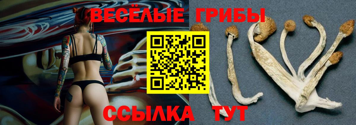 Псилоцибиновые грибы MAGIC MUSHROOMS Энгельс